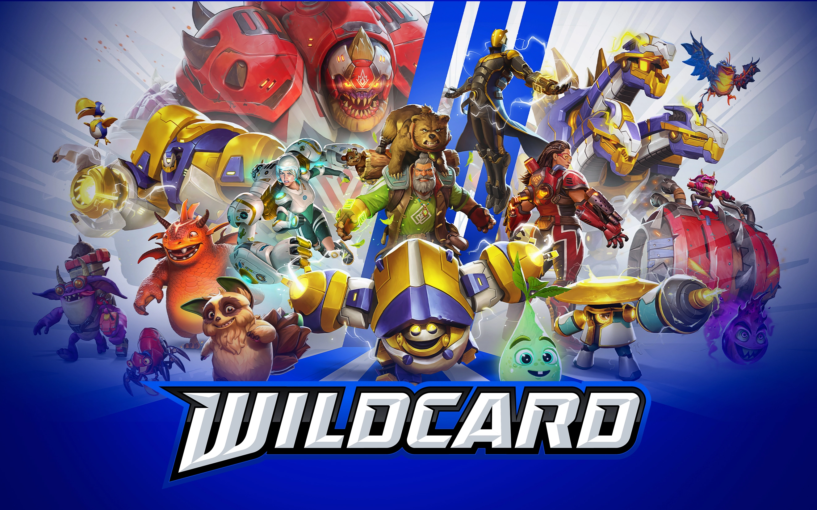 Wildcard